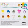 image:imageSquishmallows Original Micromallows Plush 10PackSquad 3