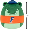 image:imageSquishmallows Original University of Texas 12in Bevo XV PlushUniversity of Florida