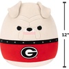 image:imageSquishmallows Original University of Texas 12in Bevo XV PlushUniversity of Georgia