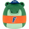 University of Florida