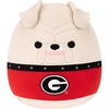 University of Georgia