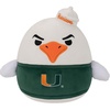 University of Miami