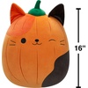 image:imageSquishmallows Original 16in Cam the Pumpkin Cat Select Series