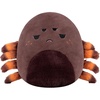 Brown Tarantula Spider
