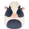 Shaggy Haired Cow